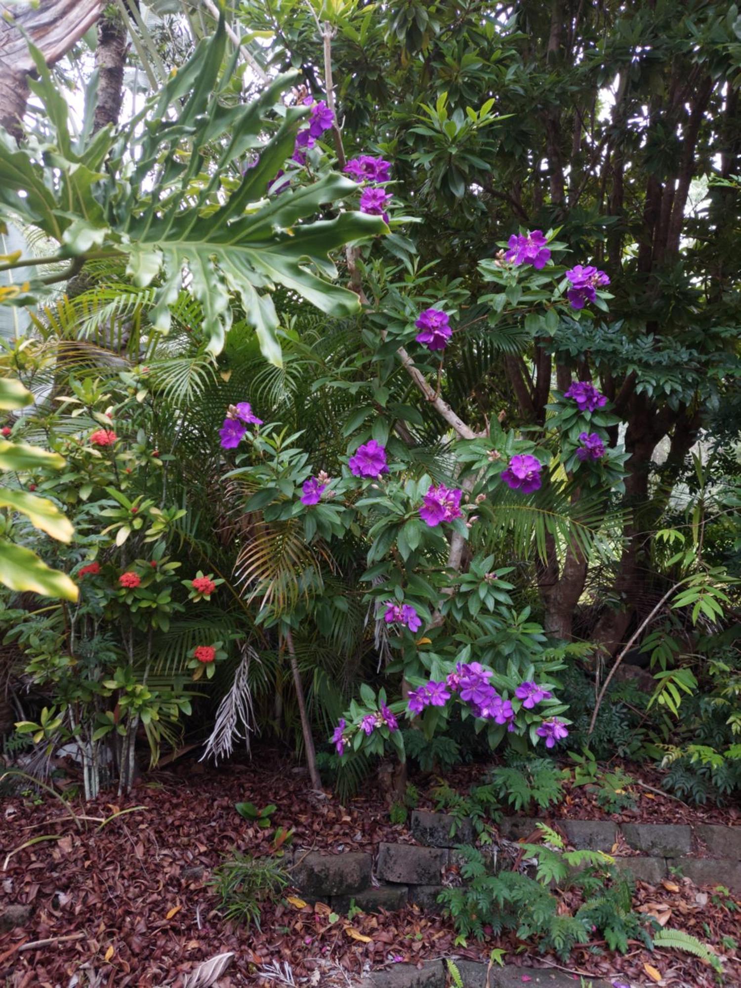 Riviera Bed & Breakfast Gold Coast Exterior foto